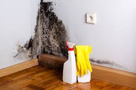 Best Mold Remediation for Healthcare Facilities  in Macdonnell Heights, NY